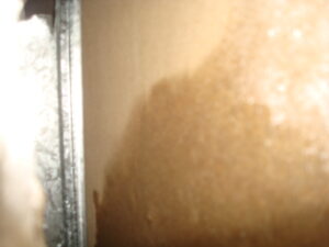DSC06132